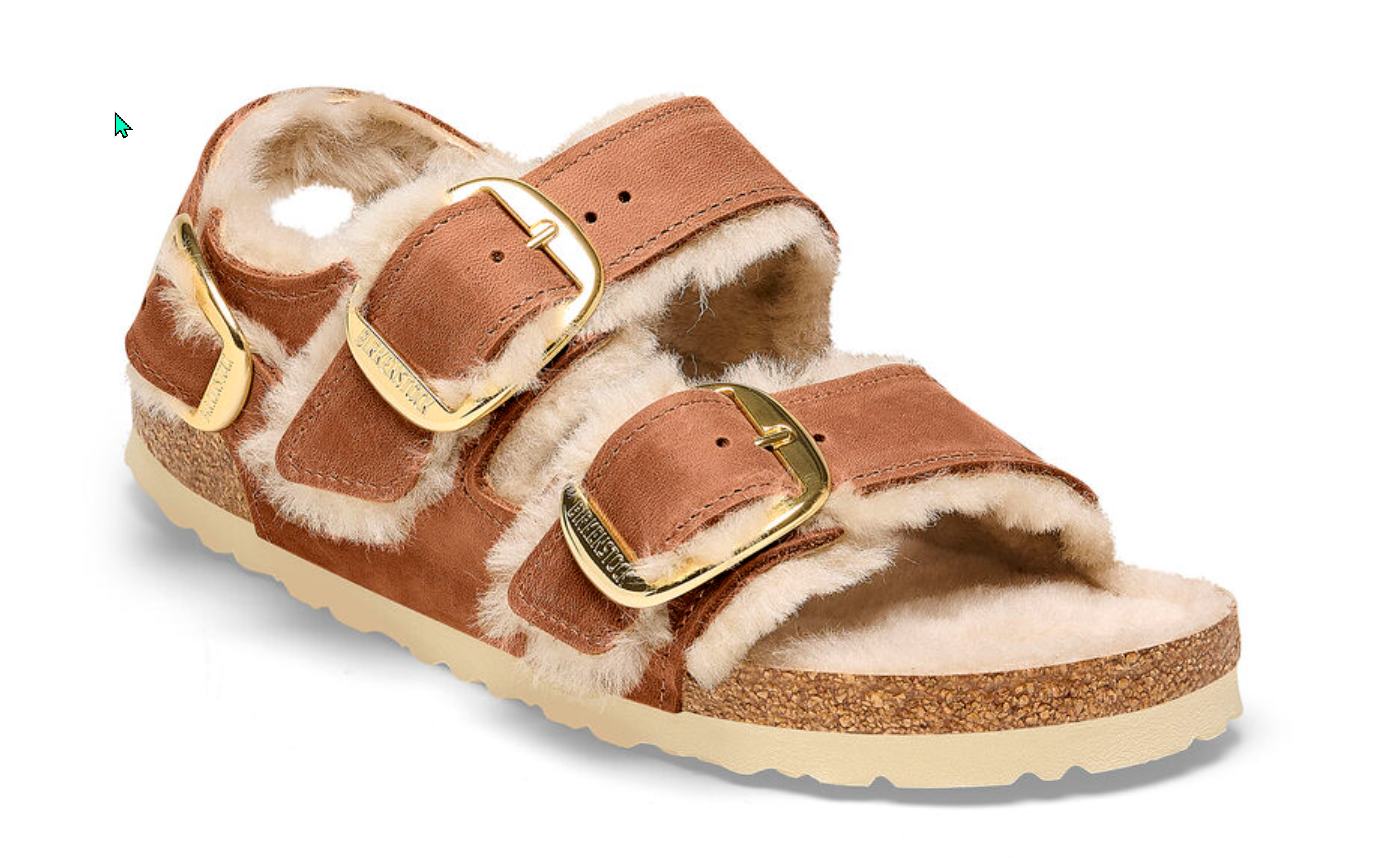 Shoe brand Birkenstock opens for investors with a lackluster IPO