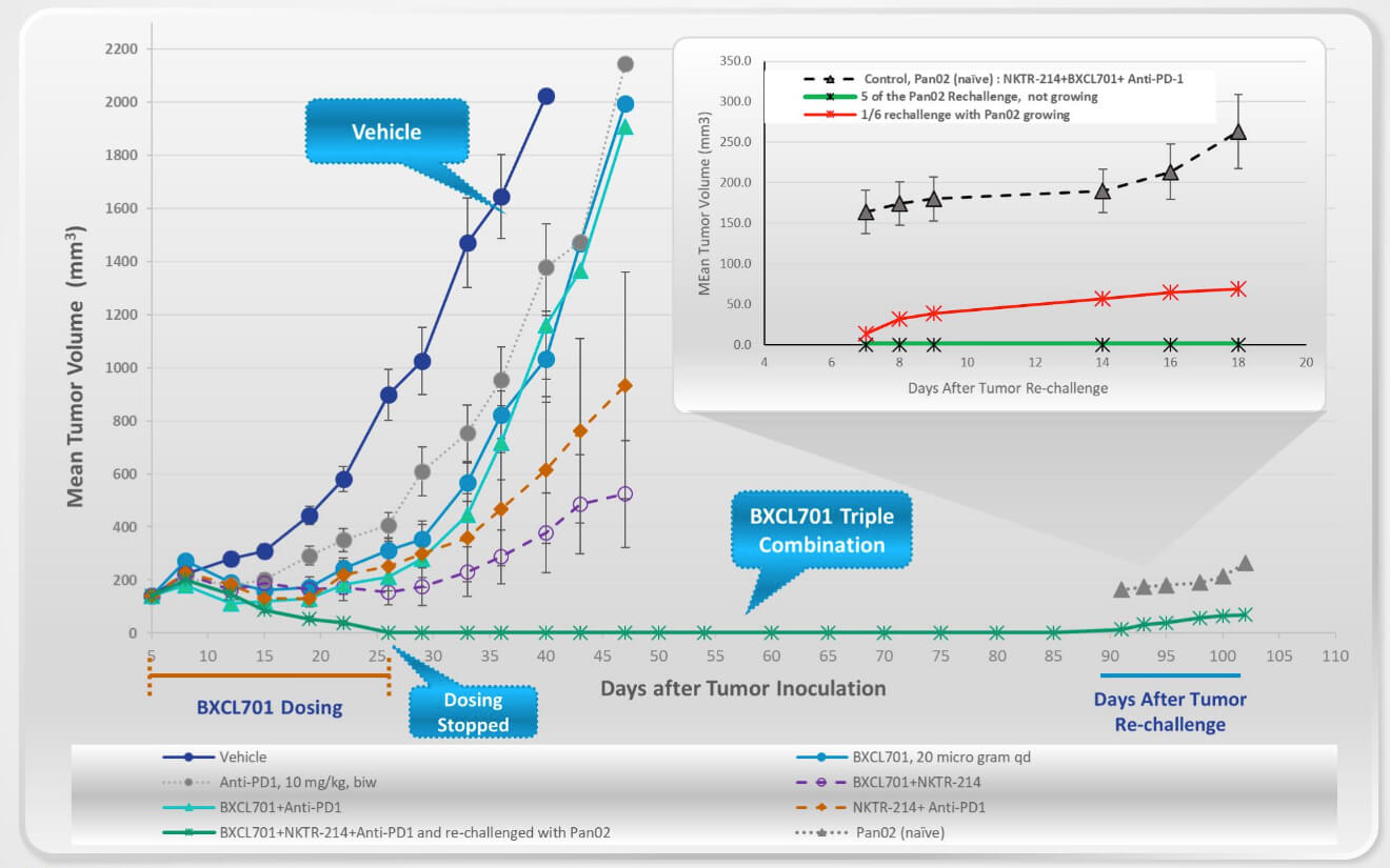 Investors Try On AI-based Drug Discovery with BioXcel