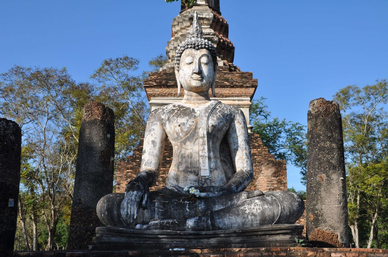 Launching Model Portfolios