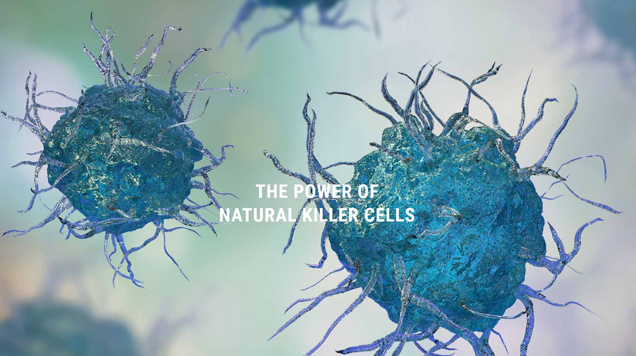 NKarta is an intriguing play on CAR NK cancer treatment